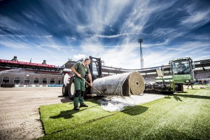 Sparta-installatie-natuurgras-2017-(4)